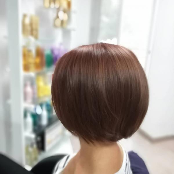 Hair Cut & Styling