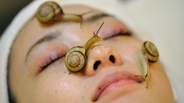 Top weird spa treatments
